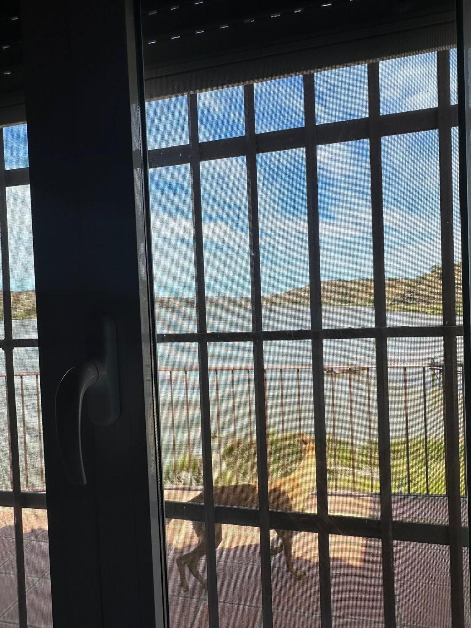 Magnifica Casa A Orillas Del Guadiana Huelva Exterior foto